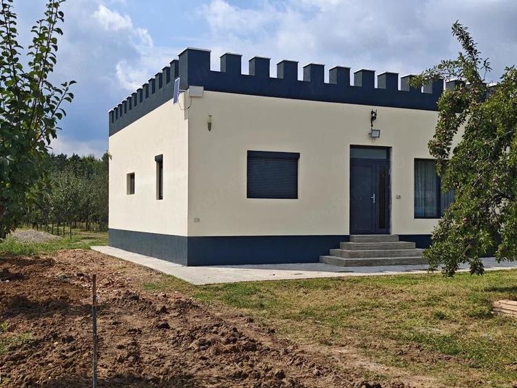 Casă cu Teren 6000 Mp în Bunești (Cotmeana)