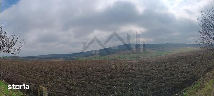 Teren de 46000 mp, în Aroneanu