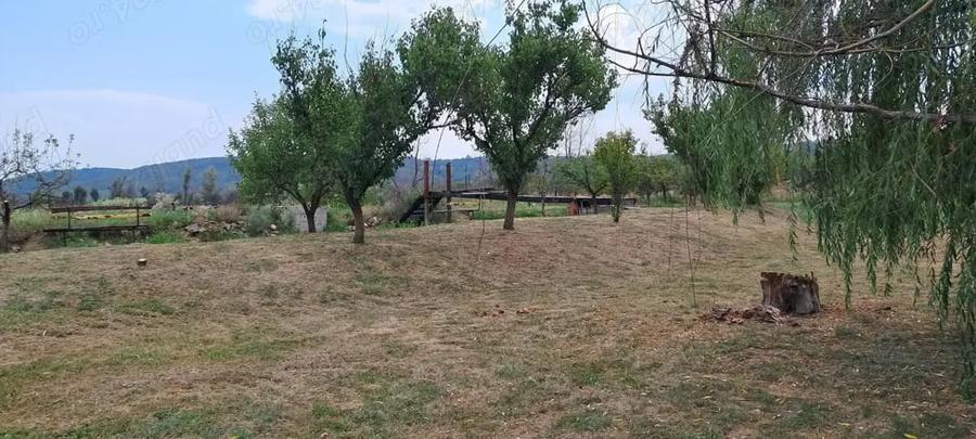 Casă cu 2 camere în Central
