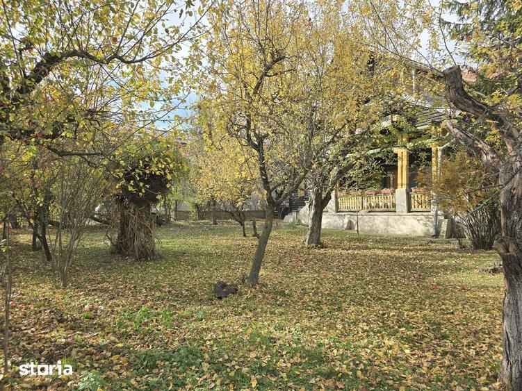 Casă cu 7 camere cu Teren 3800 Mp în Central