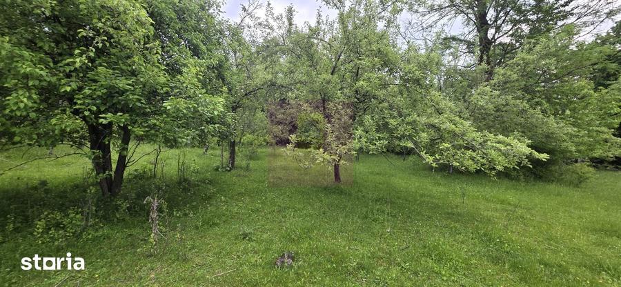 Teren de 4288 mp, în Central