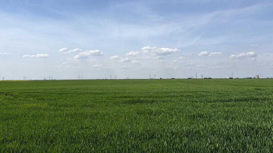 Teren de 7000 mp, în Glina