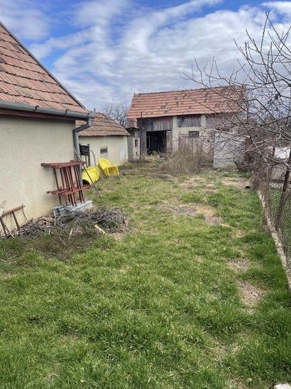 Casă cu 2 camere în Central