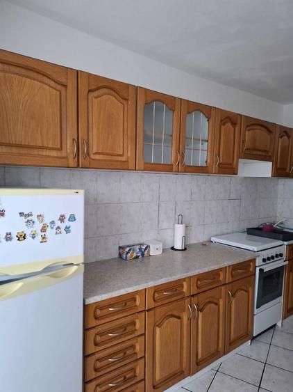 Apartament cu 2 camere decomandat în Nufărul