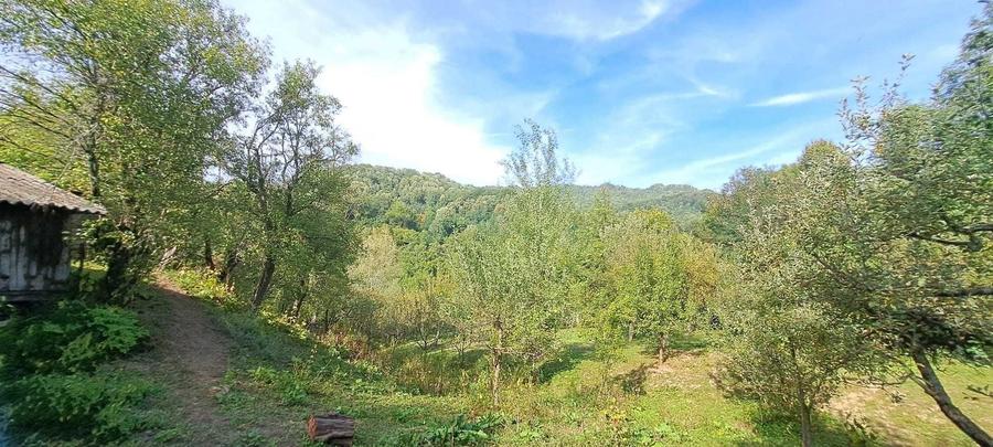 Teren si constructii situate in intravilan 7.780 mp, comuna Bertea, sat Lutu Rosu, Prahova - 5