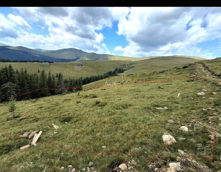 Teren intravilan Roman 2 loturi, 2.000 mp la 1.750 m, langa Refugiul Vf. Ursu