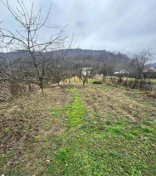 Casă cu Teren 1400 Mp în Măluț