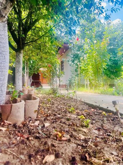 Casă cu Teren 400 Mp în Bălăceanca