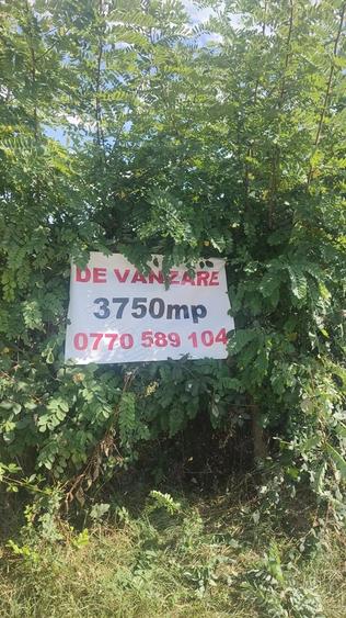 Teren în Mihăești
