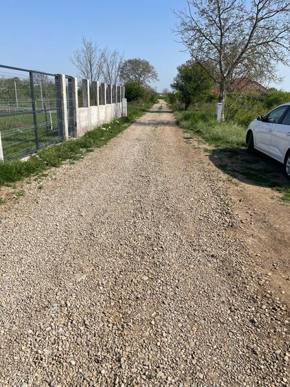 Teren Construcții intravilan de 1100 mp, în Dascălu