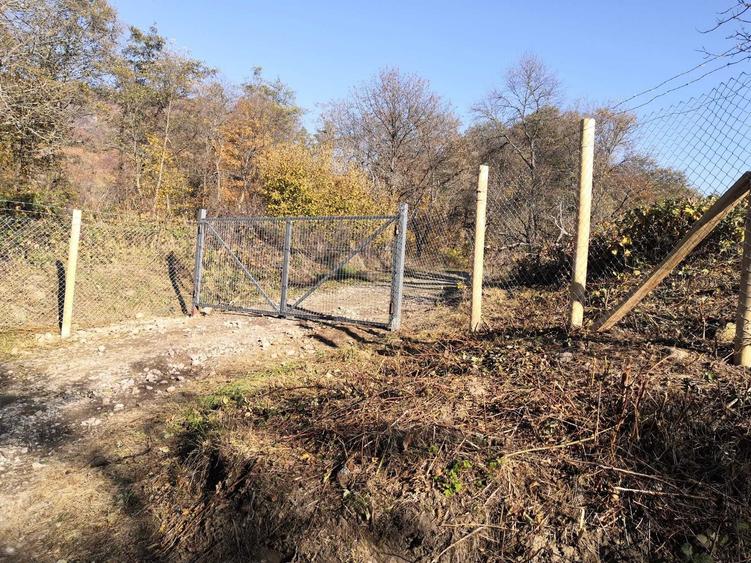 Teren de 7038 mp, în Hărțăgani
