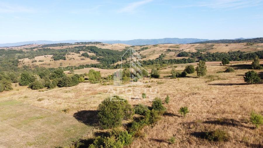 Teren agricol extravilan de 50000 mp, în Izvoarele