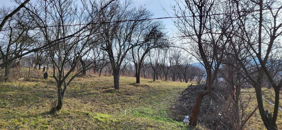 Teren intravilan de 4200 mp, în Periferie