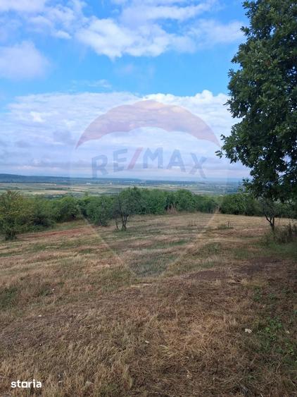 Teren de 5700 mp, în Central