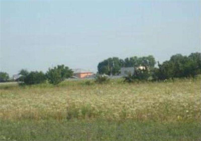 Teren de 644 mp, în Copăceni