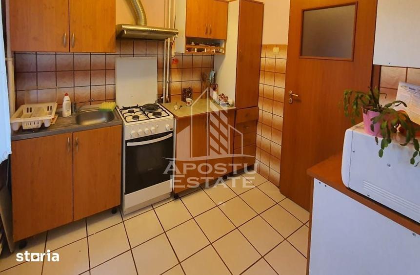 Apartament cu 2 camere semidecomandat în Șega