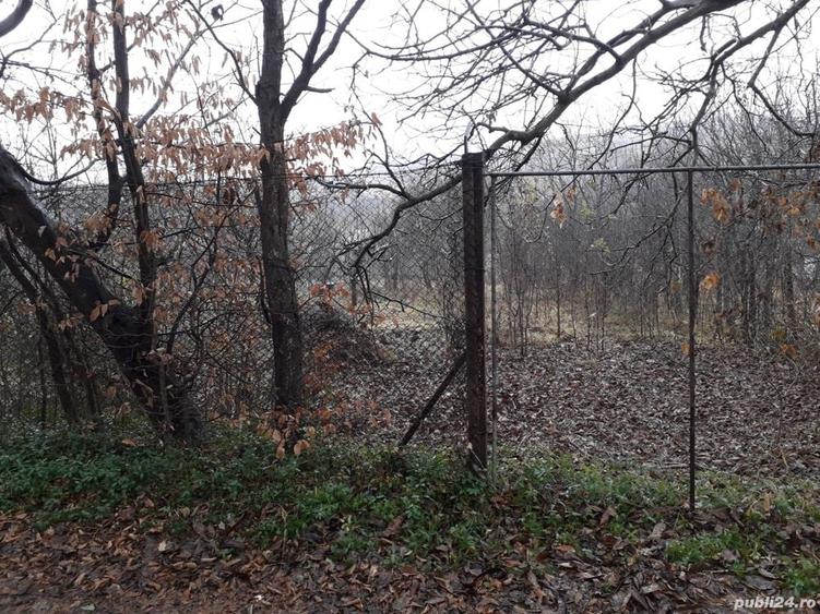 Teren de 530 mp, în Hamba