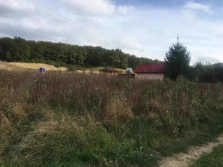 Teren de 650 mp, în Central