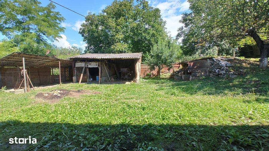 De vanzare casa in satul Carpinis - 13
