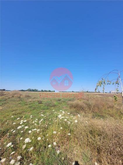 Teren Costinesti 1000 mp, Aproape de Plaja si de Nibiru, Ide - 2