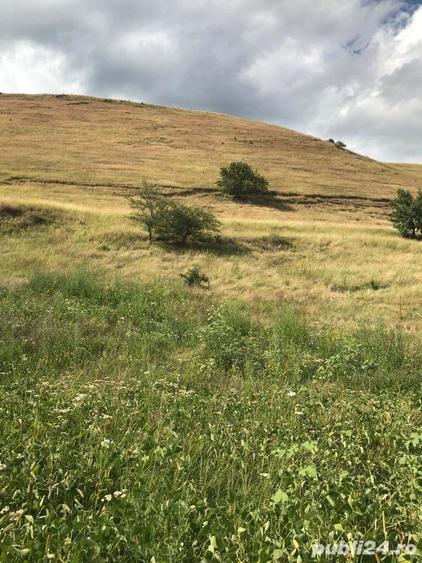 vand teren extravilan Faneata 11500mp ( impadurire) com Micasasa jud. Sibiu sau schimb cu intravilan - 4