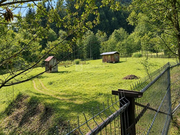 Teren Construcții extravilan de 3386 mp, în Borca