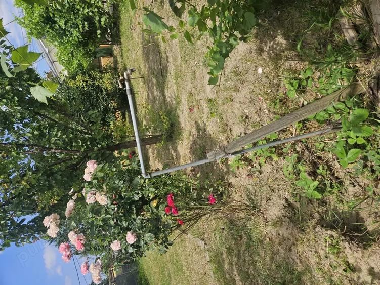 Teren de 455 mp, în Letea Veche