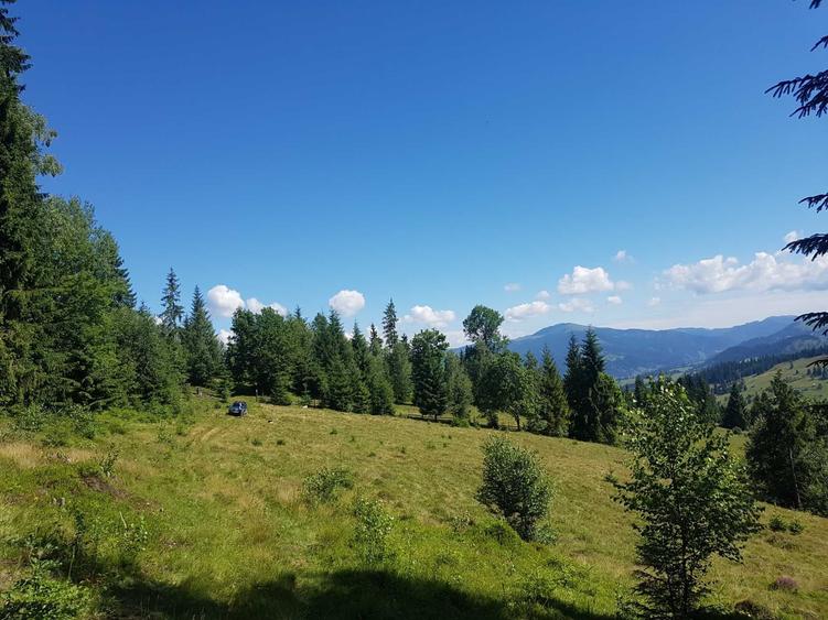 Spațiu comercial, în Dorna-Arini