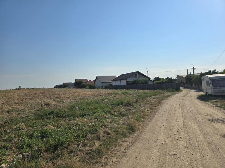 Teren Construcții intravilan de 20000 mp, în Lazu