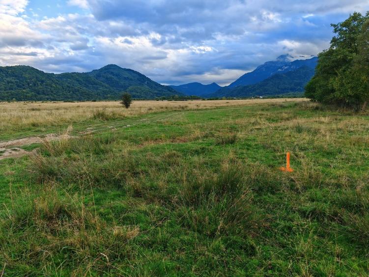 Teren Construcții intravilan de 9800 mp, în Glăjărie