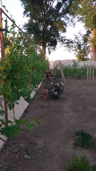 Casă individuală cu 3 camere cu Garaj în Horia