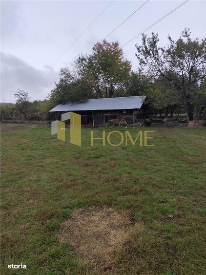 Casă cu 4 camere cu Teren 11250 Mp în Teișani