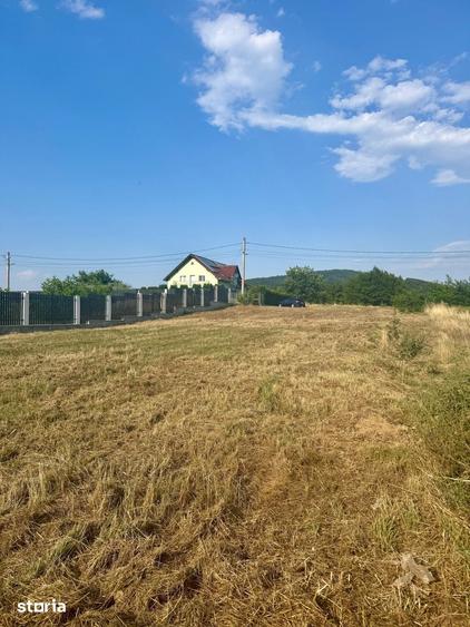 Teren de 1000 mp, în Central