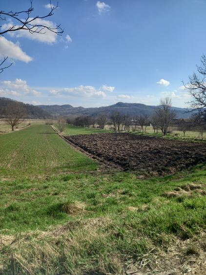 Teren Construcții intravilan de 3400 mp, în Trei Sate