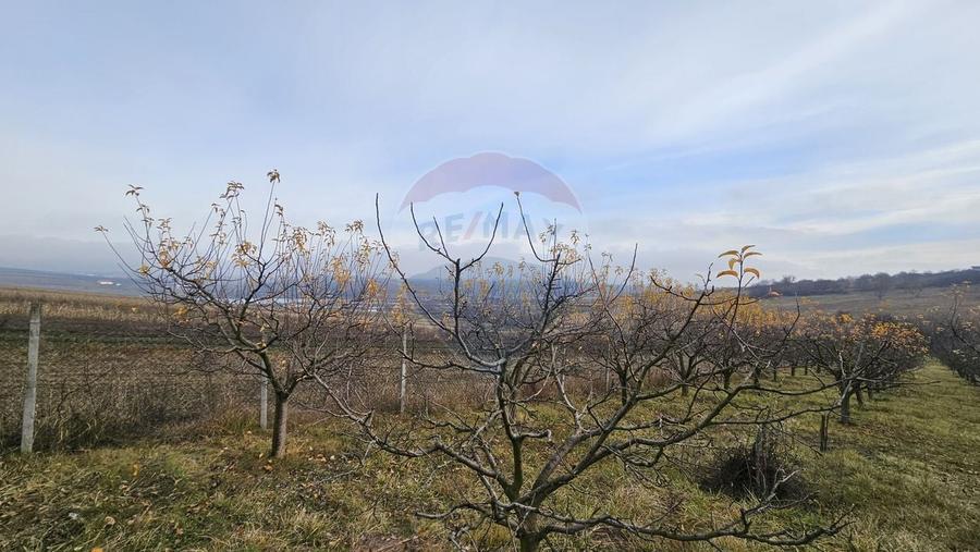Teren extravilan de 10791 mp, în Fălticeni