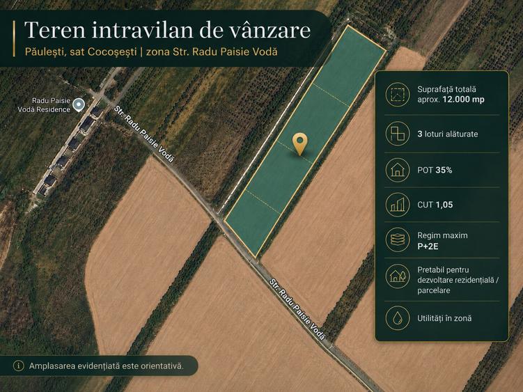 Teren Construcții intravilan de 12200 mp, în Păulești