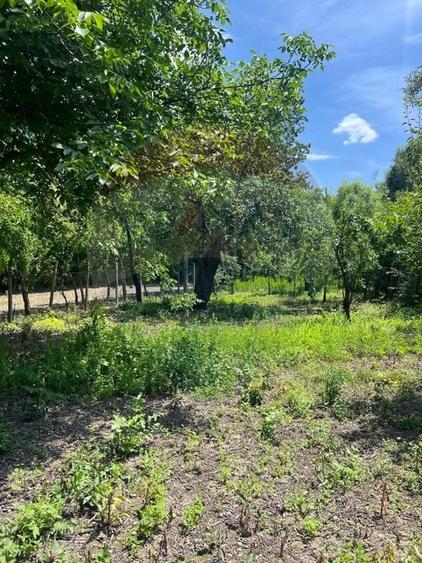 Casă individuală cu 4 camere cu Teren 1433 Mp în Moara