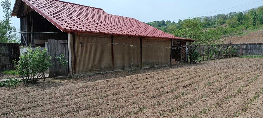Casă cu 4 camere în Târgu Logrești