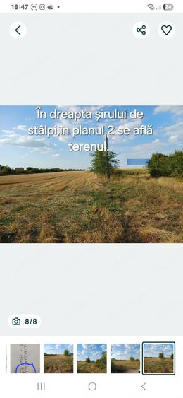 Teren de 4764 mp, în Clinceni
