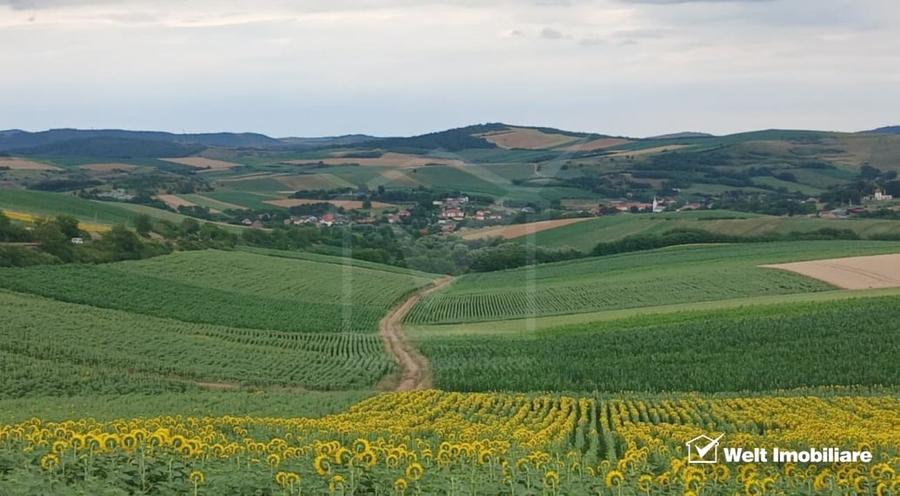 Casă individuală cu 2 camere cu Teren 7000 Mp în Cămărașu