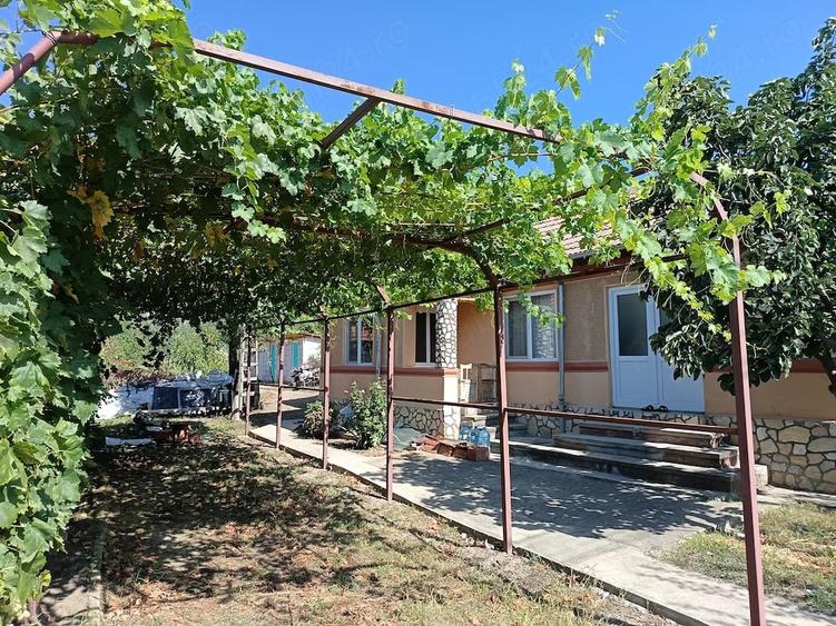 Casă cu 3 camere cu Teren 860 Mp în Pietroasele