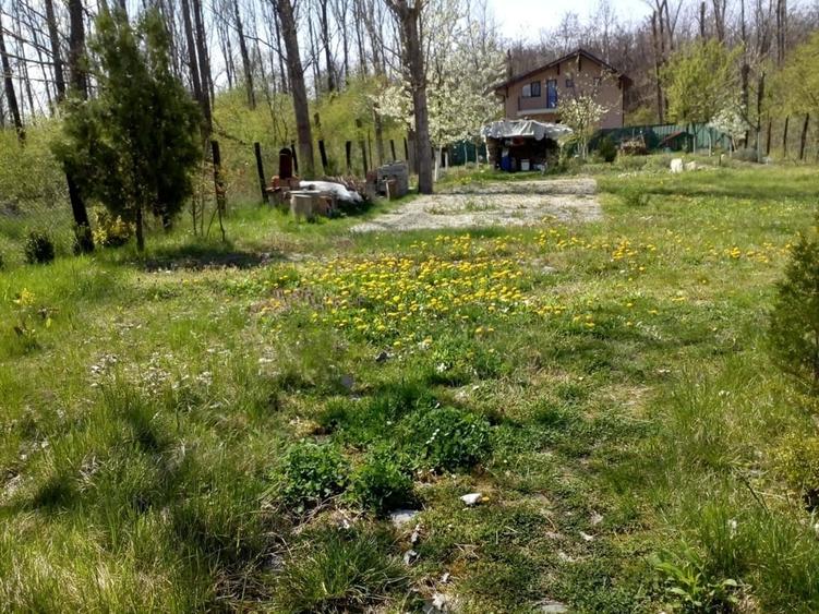 Teren de 500 mp, în Ostroveni