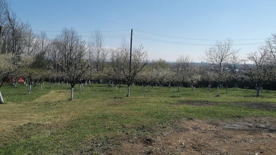 Casă cu 4 camere în Smeura