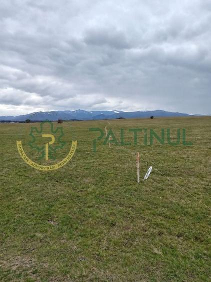 Teren agricol extravilan de 4000 mp, în Șelimbăr
