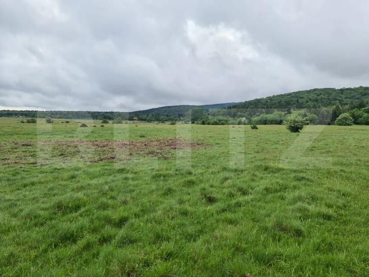 Teren Construcții intravilan de 7400 mp, în Berivoi