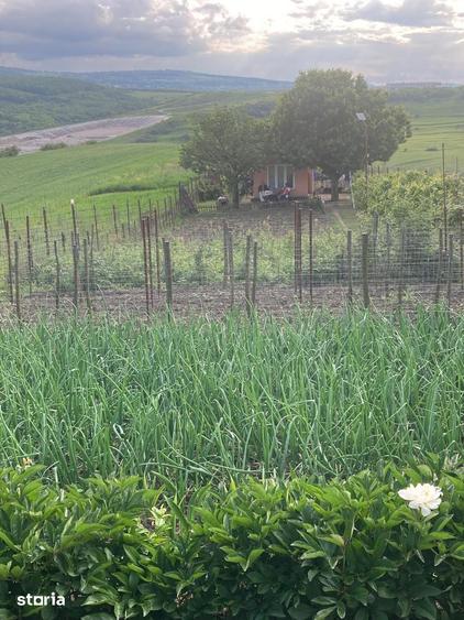 Teren 2.000 mp in Dezmir | Livada cu 100 pomi fructiferi | Fantana - 3