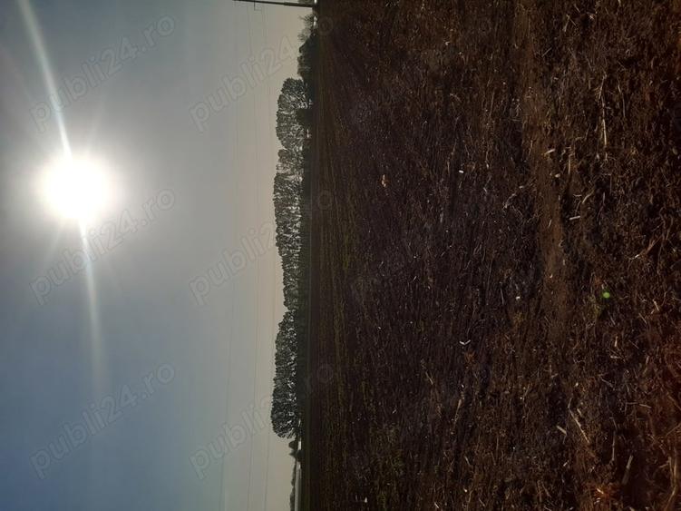 Teren de 4850 mp, în Dobreni