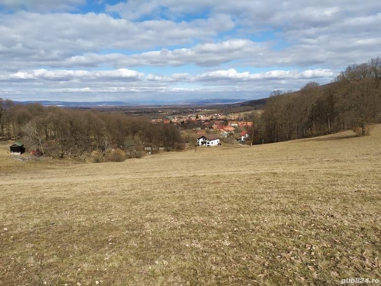 Teren de 4041 mp, în Dobârlău