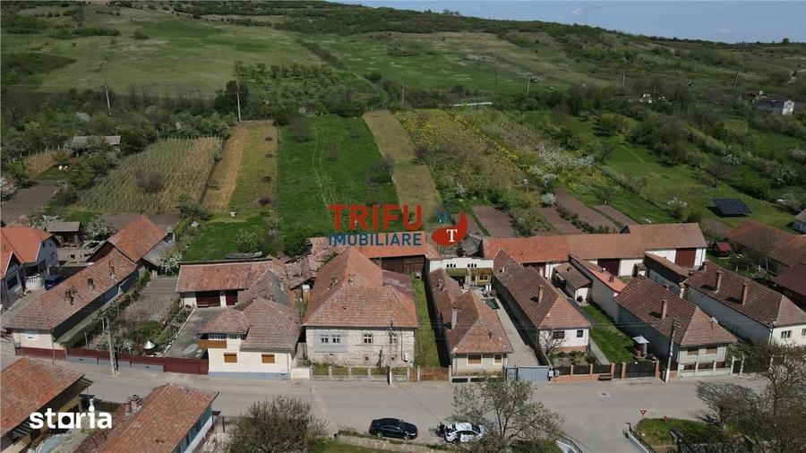 Casă cu 4 camere cu Teren 5000 Mp în Cricău