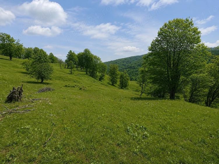 Teren de 2746 mp, în Alexandru cel Bun